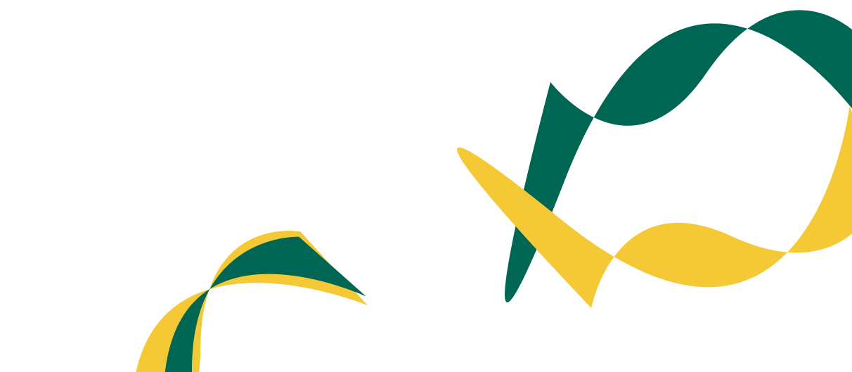 Expert Solutions for Corporate  Financial Success. - 必赢体育直播APP