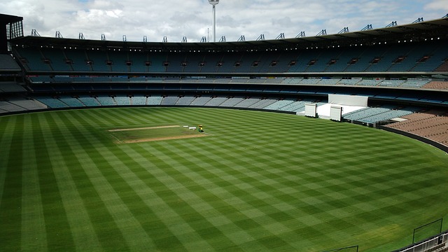 寻找平衡的 寻找平衡的