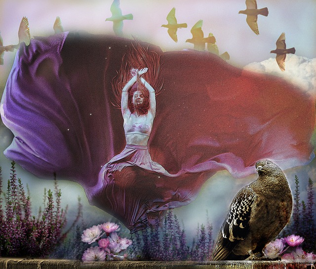 尼和贝洛蒂 尼和贝洛蒂