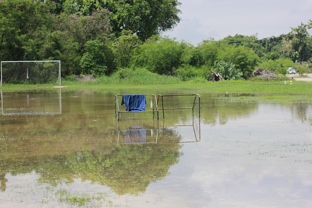 何百花齐放 何百花齐放