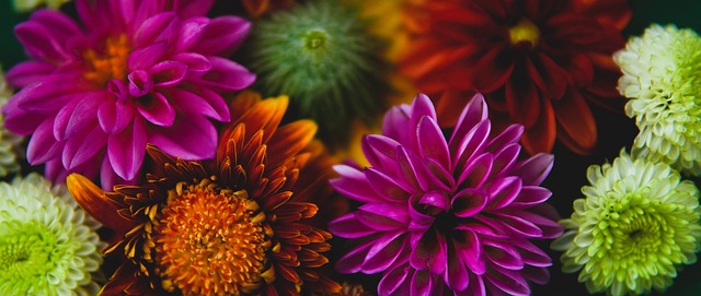 度陷入困境 度陷入困境