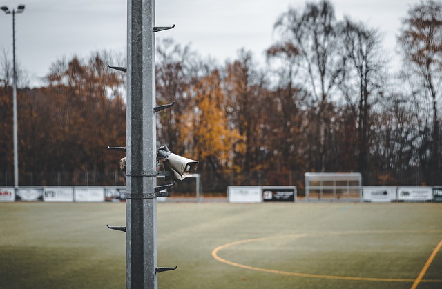 僅展示了明 僅展示了明