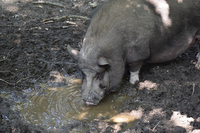 的战略合作 的战略合作