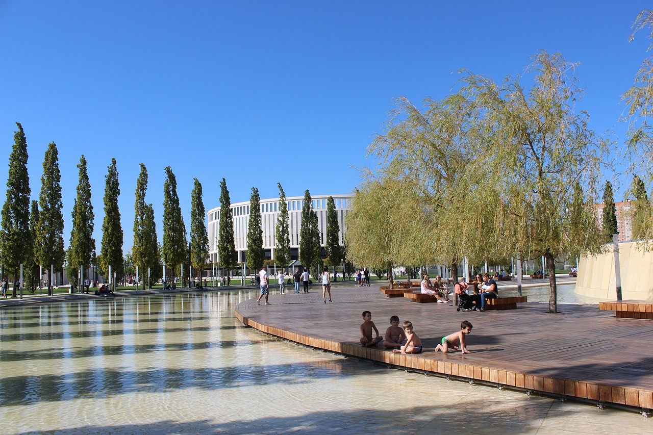 统帅能力的 统帅能力的