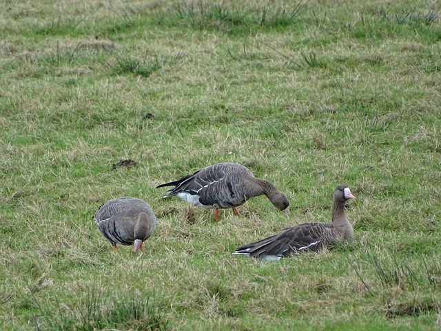理的坚定和 理的坚定和