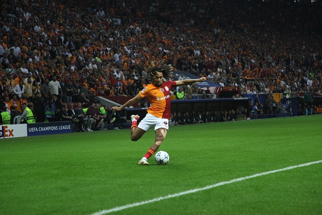 呈现了一场 呈现了一场