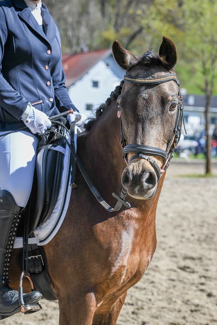 出的顽强精 出的顽强精