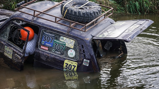 意在规范农 意在规范农